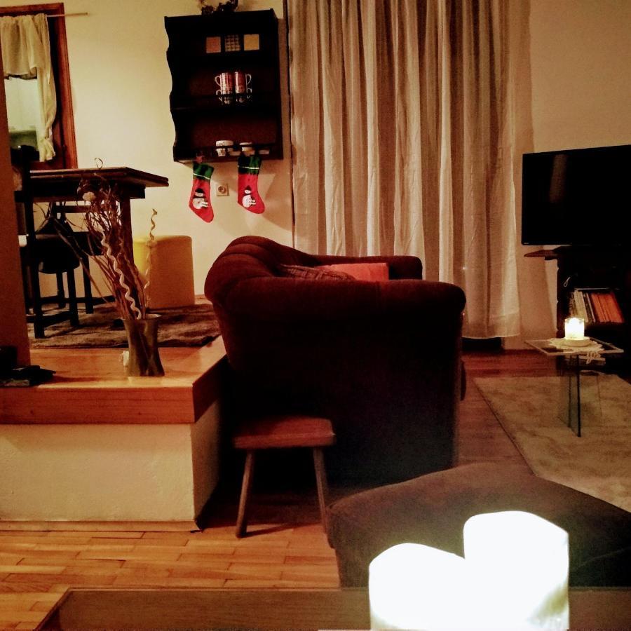 Srdica Kuca Villa Trnava  Bagian luar foto
