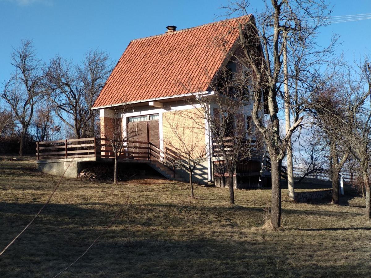Srdica Kuca Villa Trnava  Bagian luar foto