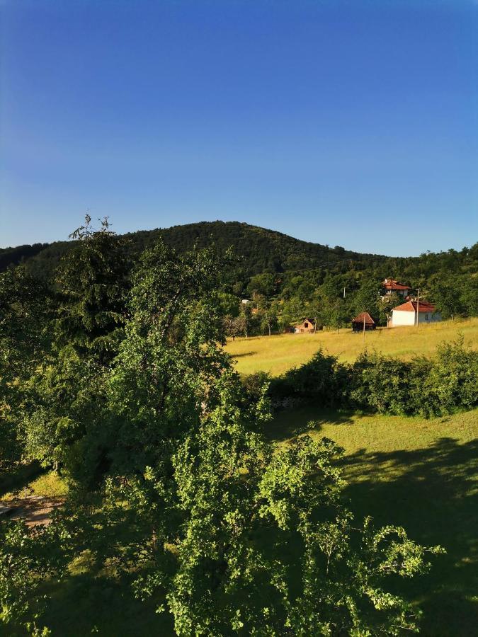 Srdica Kuca Villa Trnava  Bagian luar foto